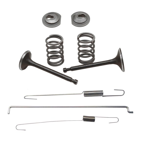 Valve Springs Kit For Honda GX160 GX200 168F 170F 5.5-6.5HP Gasoline Engine