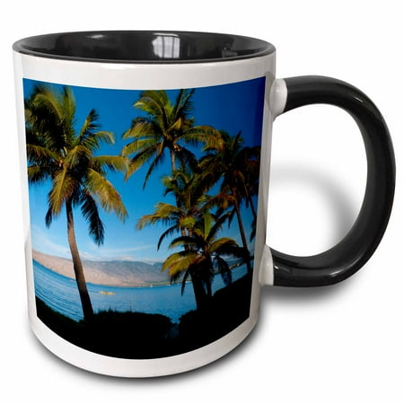 

3dRose Kihei Maui Hawaii USA - US12 DPB2410 - Douglas Peebles Two Tone Black Mug 11oz