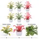 thumbnail image 5 of 6pcs Mini plantas en maceta Mini House Desktop Bonsai Decoration Fake Plant Decor, 5 of 6