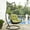 Peridot, variant on Modway Arbor Outdoor Patio Wood Swing Chair in Red