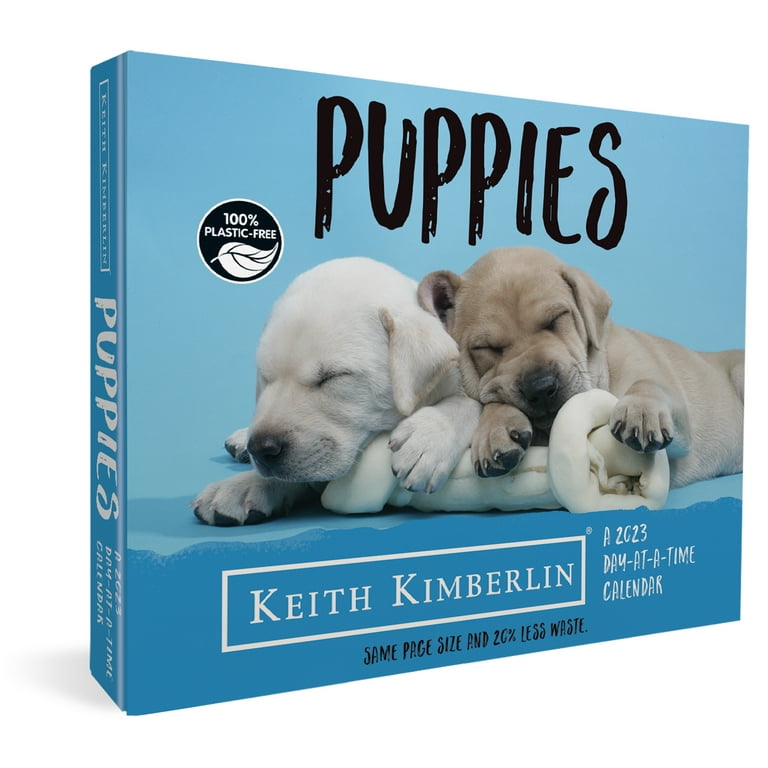 Keith Kimberlin Puppies 2024 Day At A Time Box Calendar Colly Diahann
