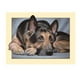 thumbnail image 2 of Kit de bordado y pintura de diamantes 5D DIY con temática de animales., 2 of 6