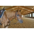 thumbnail image 3 of Tahoe Tack Double Layered Nylon Western Headstall with Matching Split Reins, 3 of 4