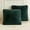 Dark Green, variant on LIFEREVO Shaggy Faux Fur Throw Pillow Covers,Fuzzy Decorative Zippered Pillow Case,Square Throw Pillowcases for Sofa Couch,18" x 18",2 Pack,Black