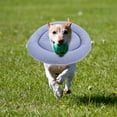 thumbnail image 3 of Collar cónico suave e impermeable para perros después de una cirugía Cono de recuperación ajustable para evitar lamidos Collar cómodo y protector, talla M, 3 of 8