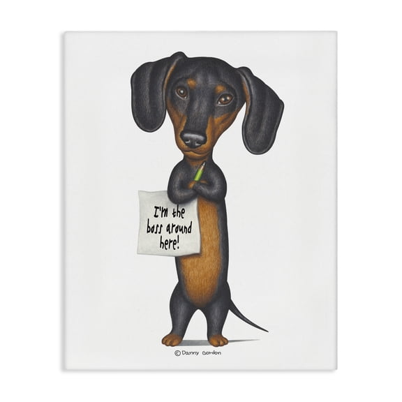Stupell Industries Eclectic Funny Dachshund Boss Canvas Art, 16 x 20, by Danny Gordan