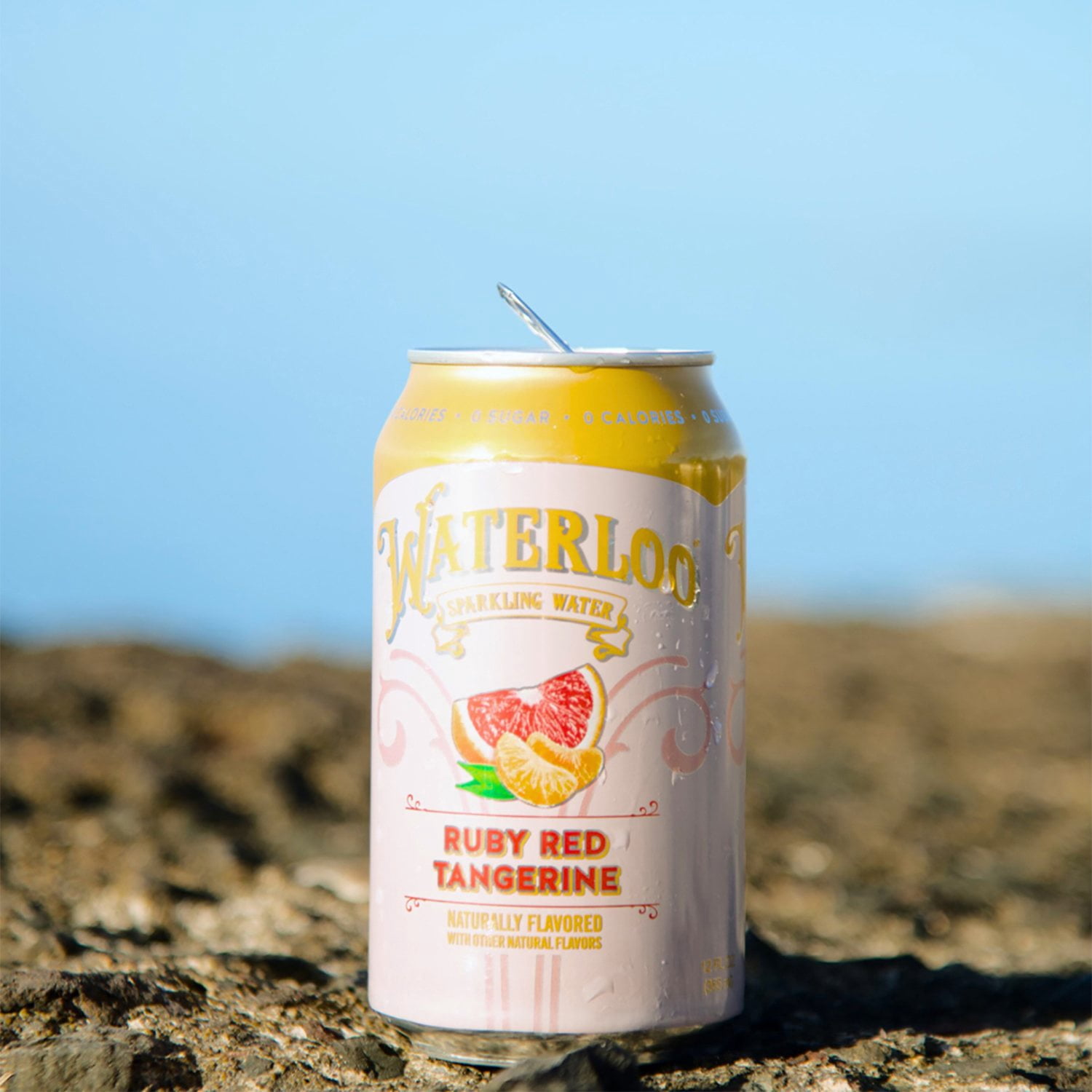 Waterloo Sparkling Water Variety Pack, Tropical Fruit, Guava Berry & Ruby Red Tangerine 12 fl oz Cans, (6 Pack)