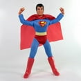 thumbnail image 2 of Mego World's Greatest Superheroes Collectible Nightwing Action Figure, 2 of 11