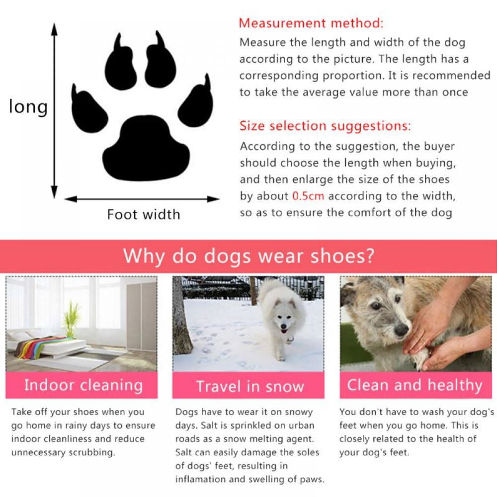 Should You Put Shoes On Your Dog