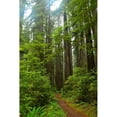 thumbnail image 3 of Moore, Brian 13x18 Black Modern Framed Museum Art Print Titled - Hiking Trail II, 3 of 5