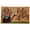 Hello Spring Watering Can, variant on Kashi Home Printed Coir Fiber 18x28 Non-Slip Doormat, Durable Outdoor / Indoor Rug, Entryway, Front Door, Porch, Patio, Welcome Mat, Hello Spring, Floral Americana Design Decor (Welcome Flower Truck)