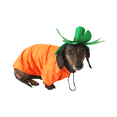 thumbnail image 4 of Midlee Carrot Easter & Halloween Dog Costume (Medium), 4 of 5
