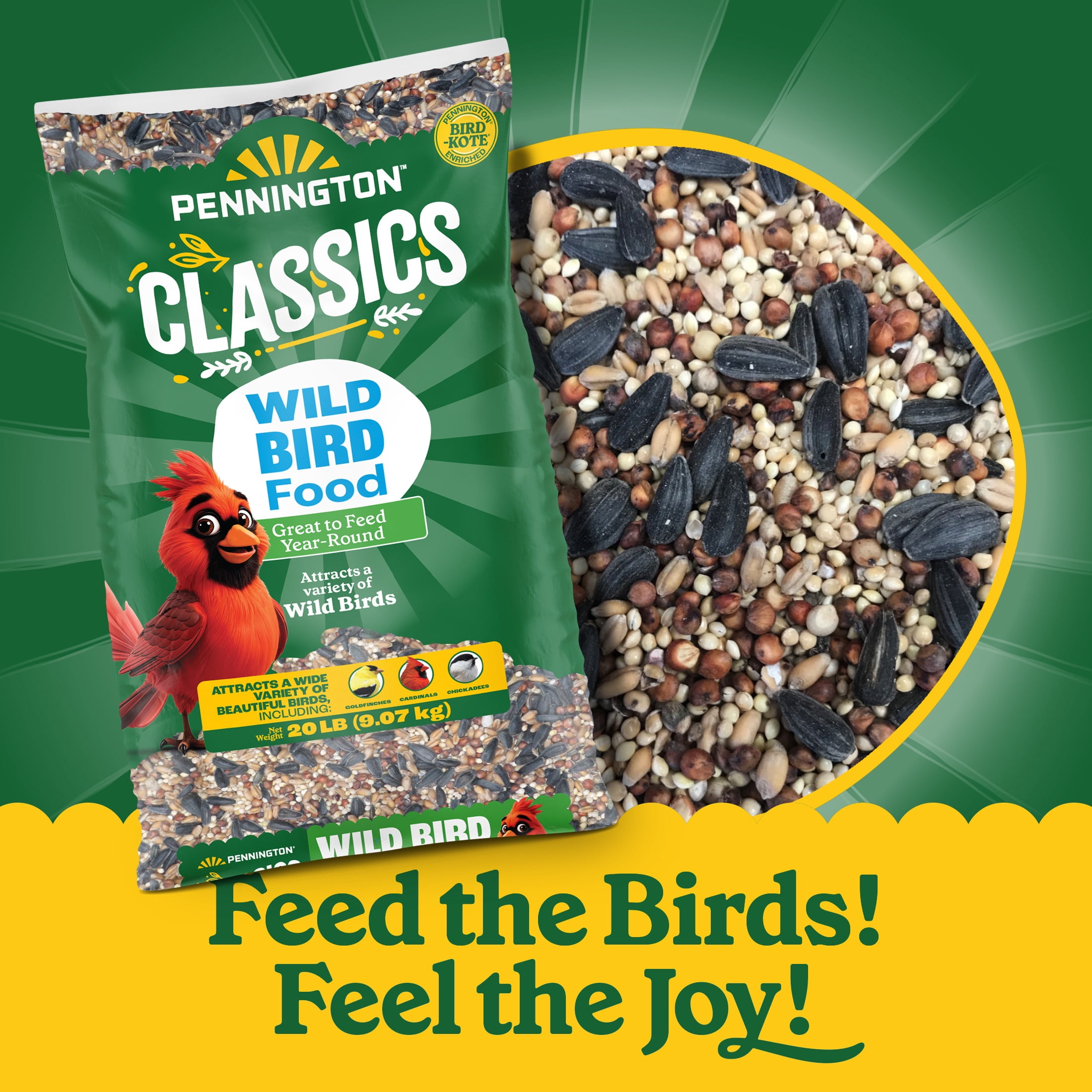 Pennington Classic Wild Bird Feed and Seed, 20 lb. Bag, Dry, 1 Pack