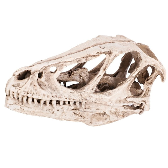 Lifelike Dinosaur Skull Model, Eco-friendly Resin Dinosaur Skull, For Office Living Room