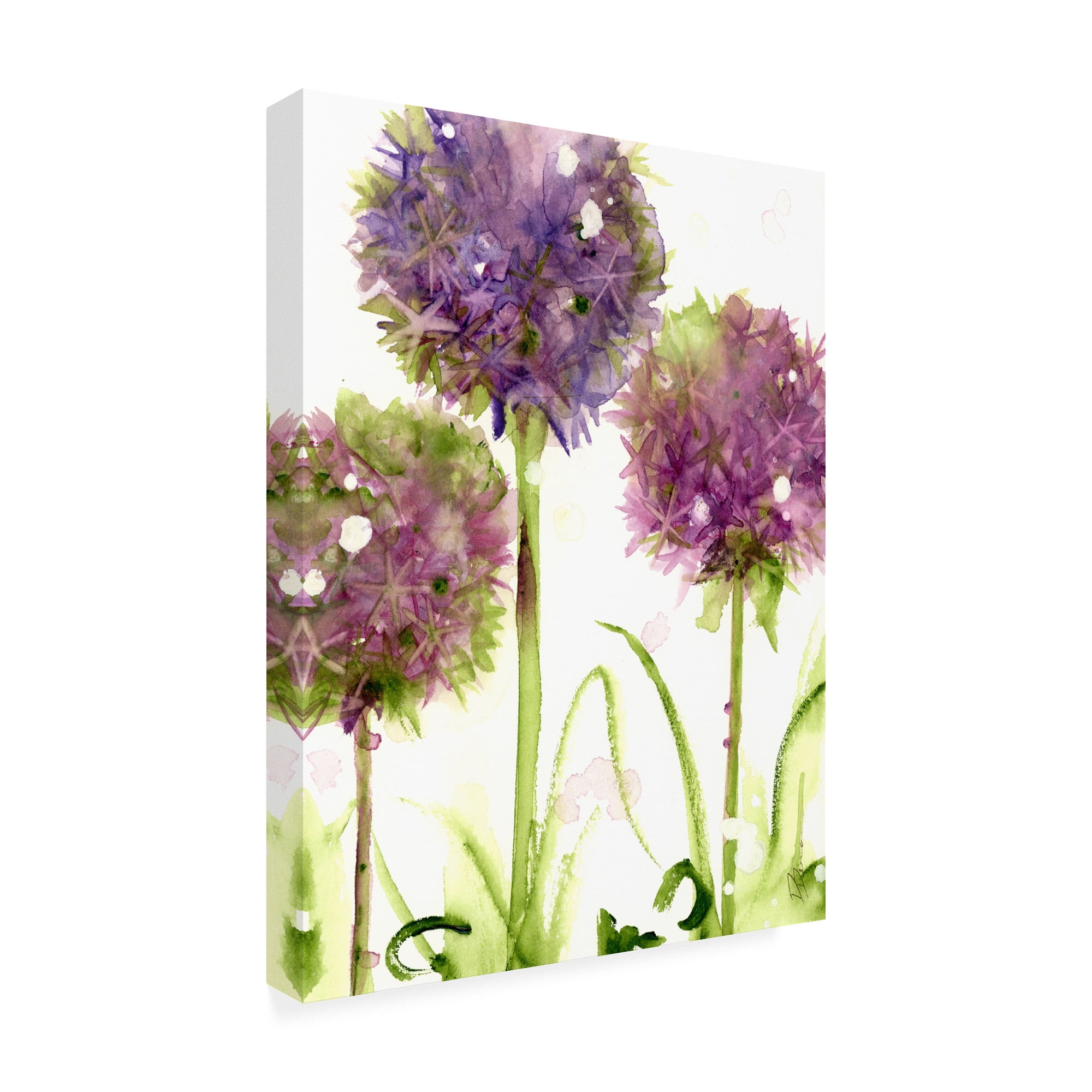 Trademark Fine Art 'Alliums' Canvas Art by Dawn Derma