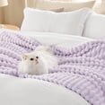 thumbnail image 4 of Manta Bedsure Lavanda Fog Forro polar para sofá, 230 x 230 cm, 4 of 7