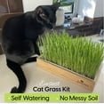 thumbnail image 4 of ZestiGreens Self-Watering Cat Grass Kit – Easiest Way to Grow Fresh Cat Grass, 4 of 6