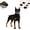 Type-B, variant on Monster Dog Muzzle, Dog Training Muzzle, Prevents Barking,Chews,for Small,Medium and Large Dogs,for Halloween,Party Costume Or Treat with Adjustable Straps (Type-B, S)