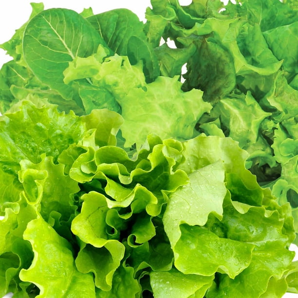Miracle Gro Aerogarden Salad Greens 7 Pod Seed Kit Walmart Com Walmart Com