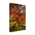 thumbnail image 4 of Trademark Fine Art Moises Levy The Tree Vertical Canvas Wall Art - 22x32, 4 of 4