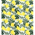 thumbnail image 3 of Serafina Home Lemon Throw Blankets: Soft Plush Accent for Sofa Couch Chair Bed Dorm or Travel, 3 of 6