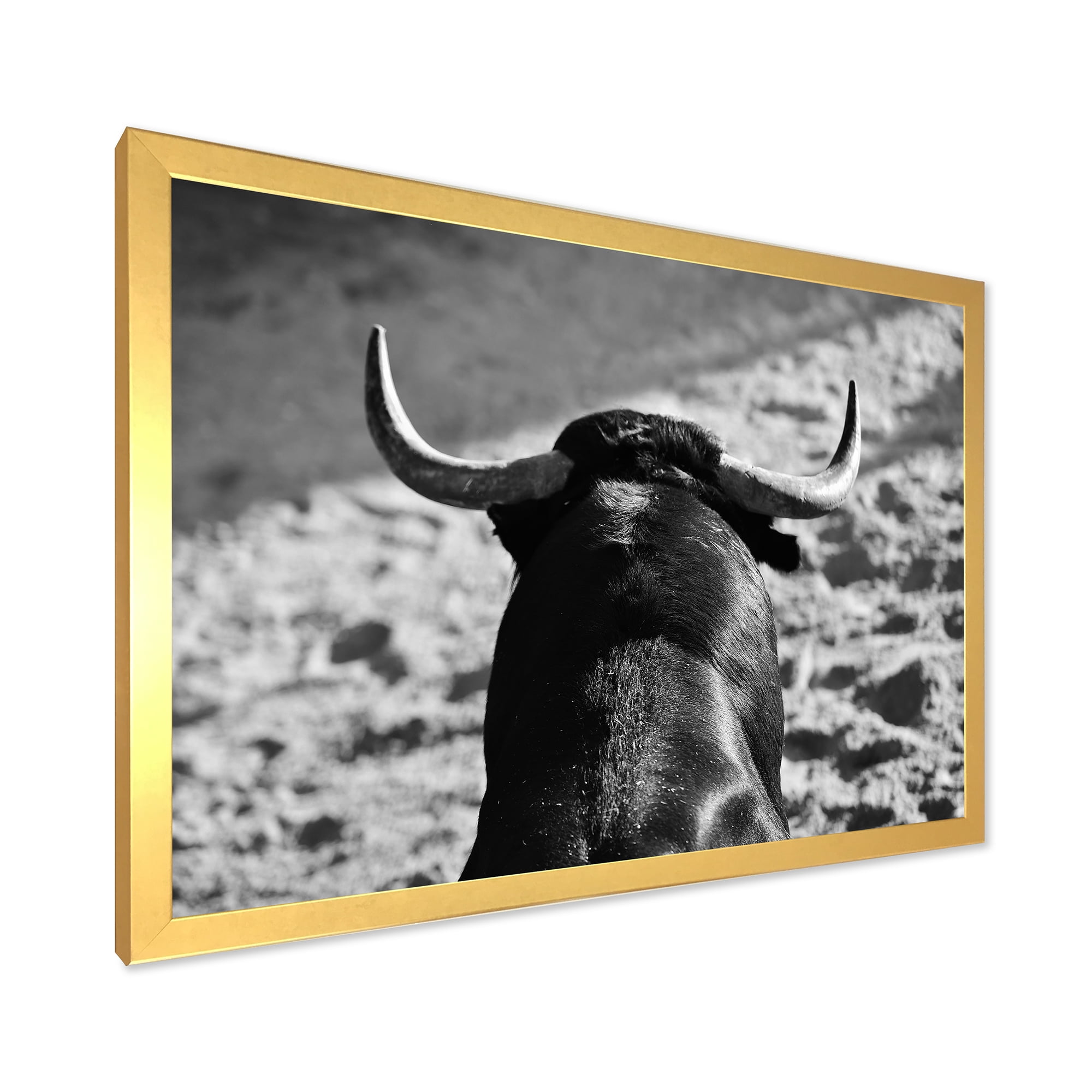 Designart 'Black and White Portrait Of A Spanish Bull II' Farmhouse Framed Art Print