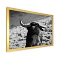 thumbnail image 2 of Designart 'Black and White Portrait Of A Spanish Bull II' Farmhouse Framed Art Print, 2 of 4