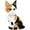 Calico Cat, variant on NAYIHOOP Calico Cat Building Sets Animals for Boy Girls 14+ Not Compatible with Lego