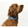 thumbnail image 2 of ROTTERDAM BONES Leather Dog Collar Single- Row Bones, 2 of 4