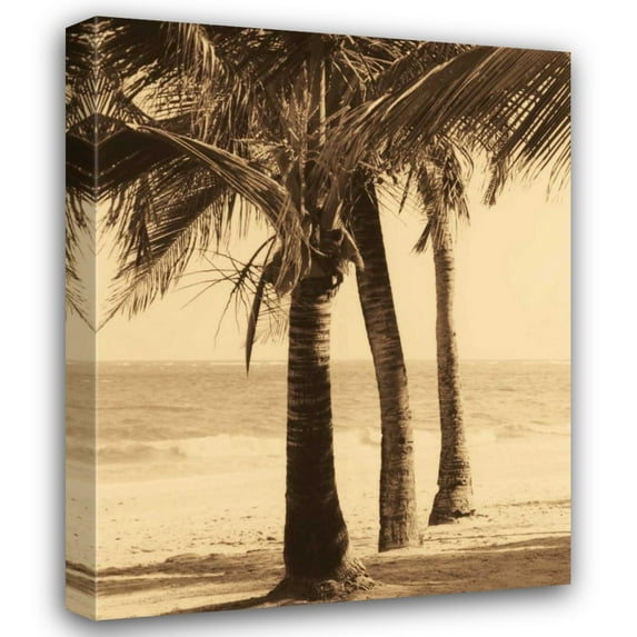 Dennis Kelly 28x35 Gallery Wrapped Canvas Wall Art Titled - Palm Beach II