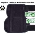 thumbnail image 4 of Paw Empire Dog Leg Braces, Ultra Supportive with Metal Springs, Blue Stars, Medium, 4 of 7