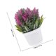 thumbnail image 5 of IDEANATEGRATE Planta Artificial En Maceta Simulación Lavanda Decorativa Para Interior Color Multi, 5 of 6
