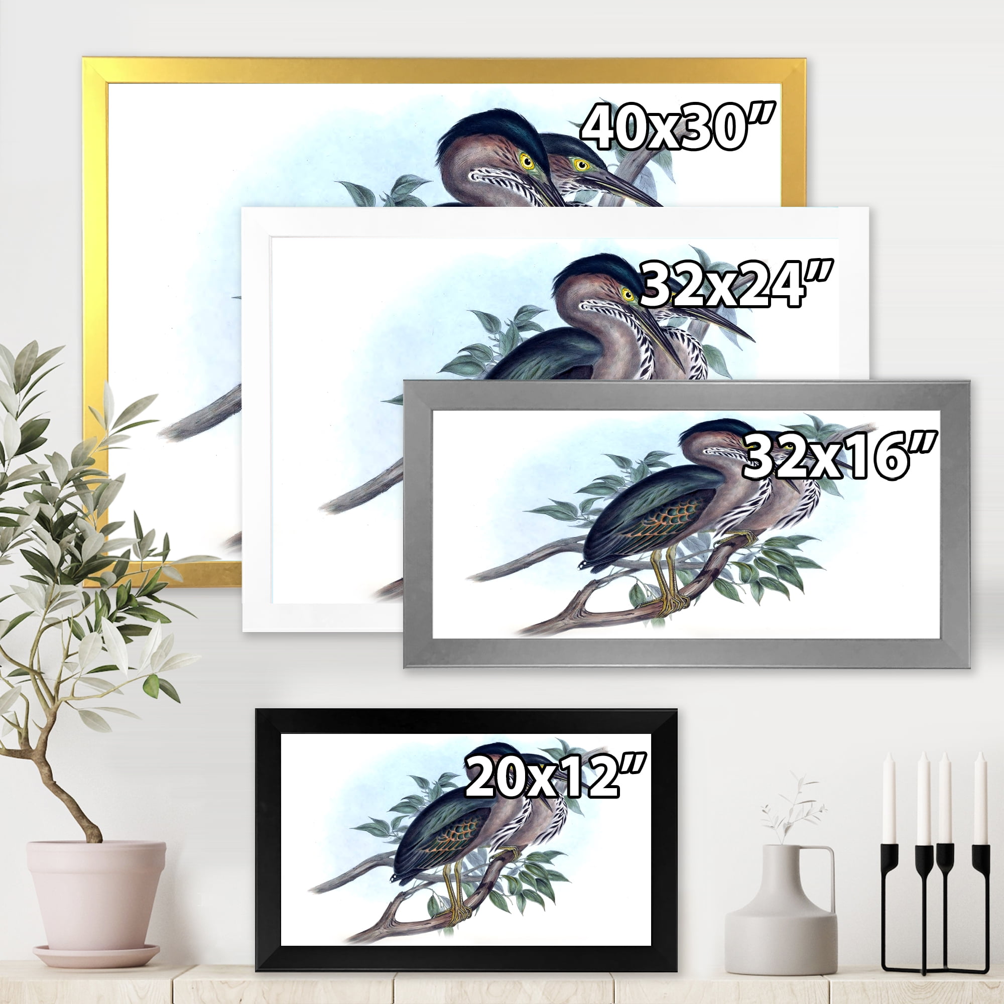 Designart 'Ancient Australian Birds VII' Traditional Framed Art Print