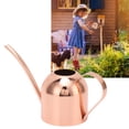 thumbnail image 3 of Garden Watering Can, Large Capacity Rose Gold Scratch Proof Stainless Steel Watering Can Anti Rust  For House Bonsai, 3 of 8
