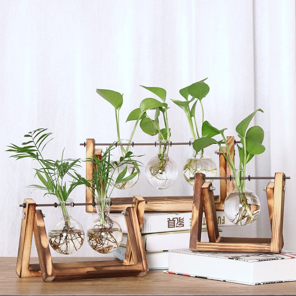 Glass plant holder hanging glass planter round air plant terrarium with wooden stand glass vase holder for indoor wall decor planter for succulent plants