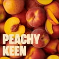thumbnail image 5 of Noosa Yoghurt, Whole Milk Yogurt, Velvety Smooth & Creamy, Peach, Single Serve 4 oz, 5 of 6