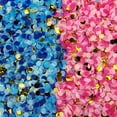 thumbnail image 1 of Lot de 2 Confettis Ronds pour Révélation de Sexe de Bébé, Décorations de Confettis Roses et Bleus pour Shower de Bébé, Fête de Révélation de Sexe, 10 mm au Total, 160 Grammes, 1 of 8