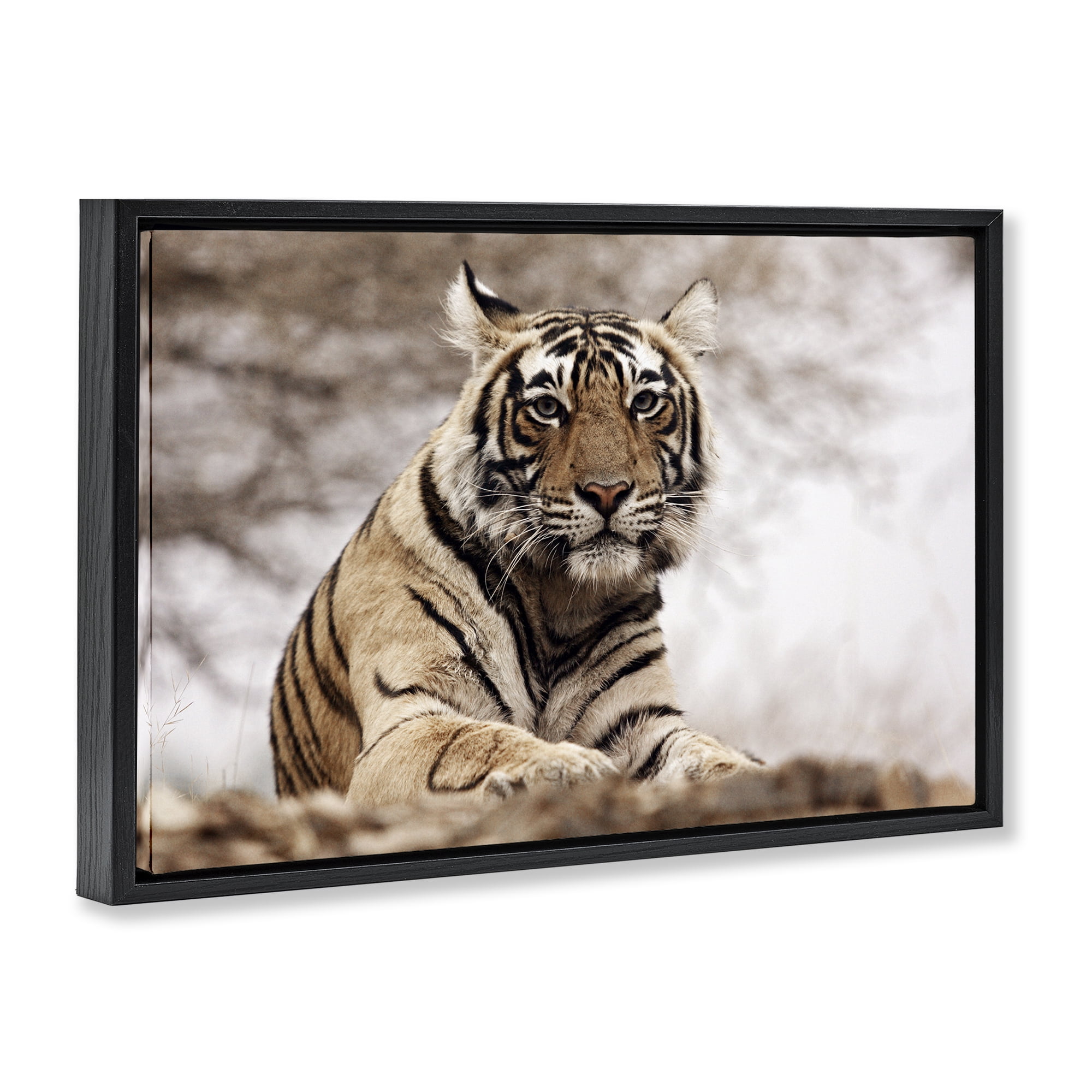 Stupell Industries Strong Tiger Atop Hill Animals & Insects Photography Black Floater Framed Canvas Art Print Wall Art, 25 x 17