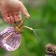 thumbnail image 3 of Pumpkin Plastic Spray Bottle Gardening Supplies Colorful Small Spray Bottle, 3 of 5