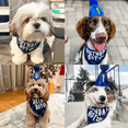 thumbnail image 5 of Suministros de fiesta de cumpleaños para perros, pañuelo de cumpleaños para perros y gorro de cumpleaños para perros con número MFZFUKR CPB-DE-LYY1845, 5 of 5