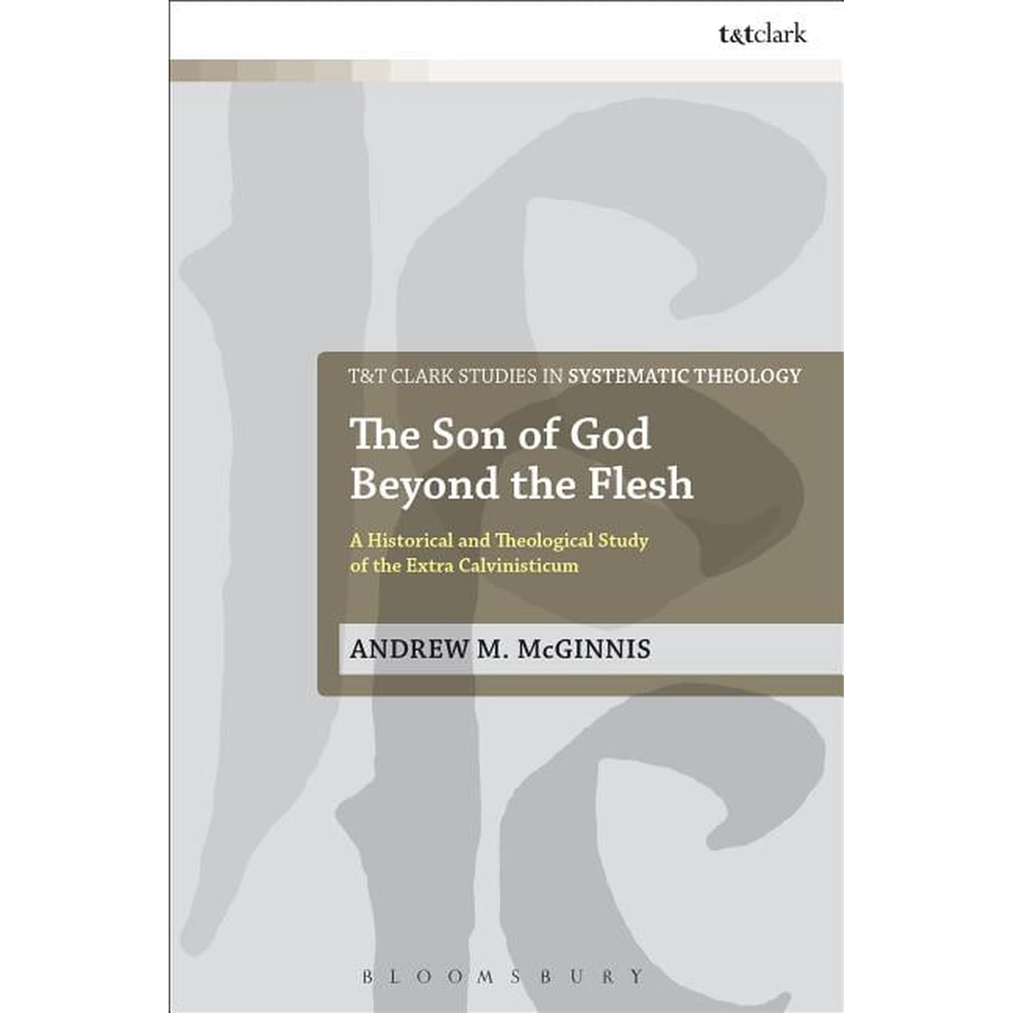 T&t Clark Studies in Systematic Theology The Son of God Beyond the Flesh: A Historical and Theological Study of the Extra Calvinisticum Book 29 (Hardcover)