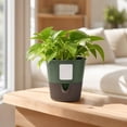 thumbnail image 2 of Leodye 1PCS Water Absorbent Root Control Plant Pot Detachable Plastic Planter Simple Design Cultivation Container for Pothos Indoor Green Plant Growing -4.92x4.92in, 2 of 7