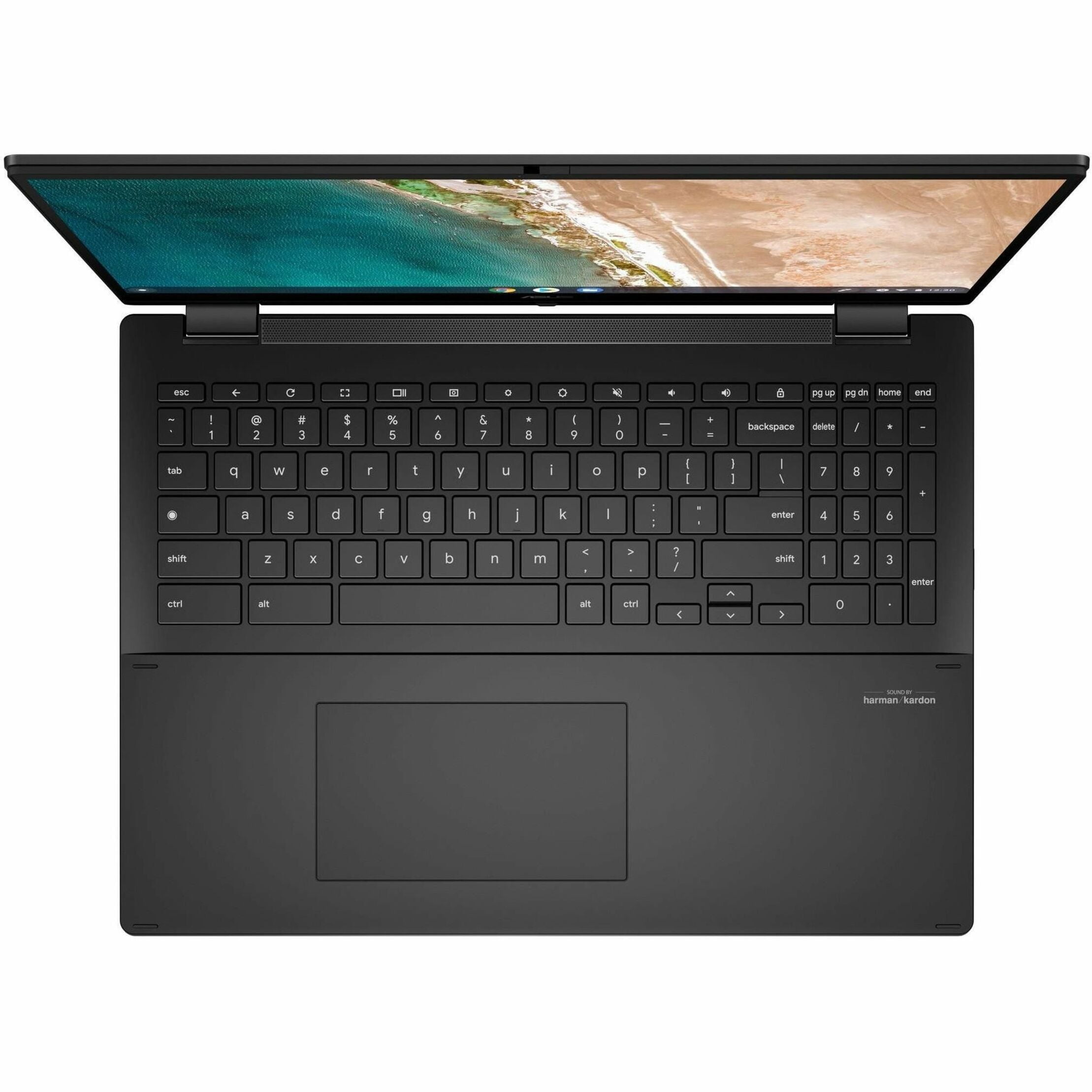 Asus Chromebook Flip 16