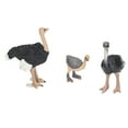 thumbnail image 5 of Zoo Animals,Ostrich Toy Hand Painted Coloring Exquisite Crafts Fine Workmanship Comfortable Grip Animal Figurines,Plastic Animals, 5 of 8