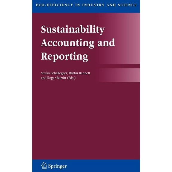 Eco-Efficiency in Industry and Science Sustainability Accounting and Reporting, Book 21, (Hardcover)