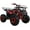 Red Spider, variant on Tao Tao ATA 125D 125 cc ATV
