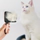 thumbnail image 1 of Pet Hair Comb for Dogs and Cats | Self-Cleaning Detangling Brush - Stainless Steel Needle Teeth | Ergonomic Non-Slip Handle | Visual Hair Collection | Multi-Color | 1 Pack | 24x13x7cm, 1 of 6