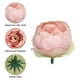 Uxcell Artificielle Fleur Tête Fausses Fleurs Têtes en Vrac Soie Pivoine Têtes Simulation Fleur Gris Rose 15 Pcs – image 4 sur 6