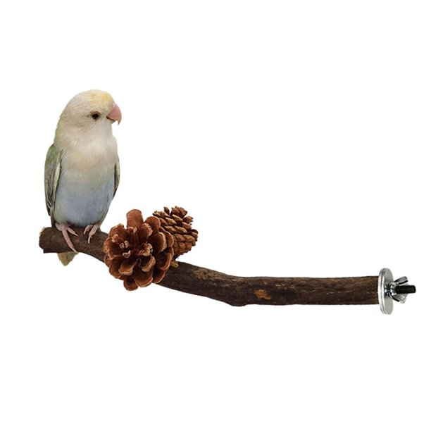 Gecorid Bird Perch Parakeet Cage Accessories Natural Wood Stand