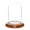 Walnut Veneer Base, variant on Plymor 3" x 5" Glass Display Dome Cloche (Walnut Veneer Base)
